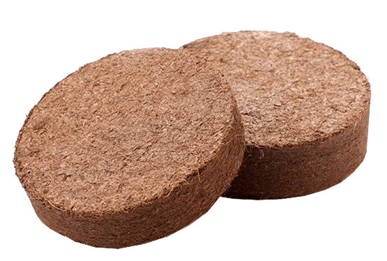 moulded coir disk